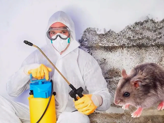 Уничтожение мышей Екатеринбург