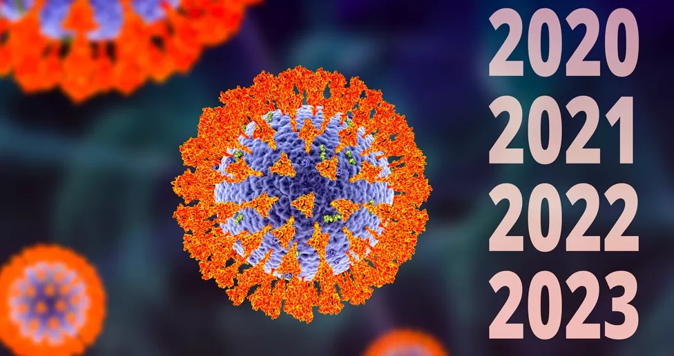 Вспышка вируса Марбург 2023